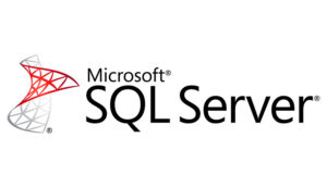 SQL Server Developer