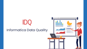Introduction to Informatica Data Quality