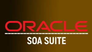 What is Oracle SOA?