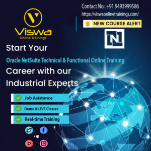 NetSuite Technical and Functional Expert