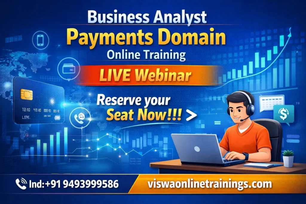 Business Analyst Payments Domain